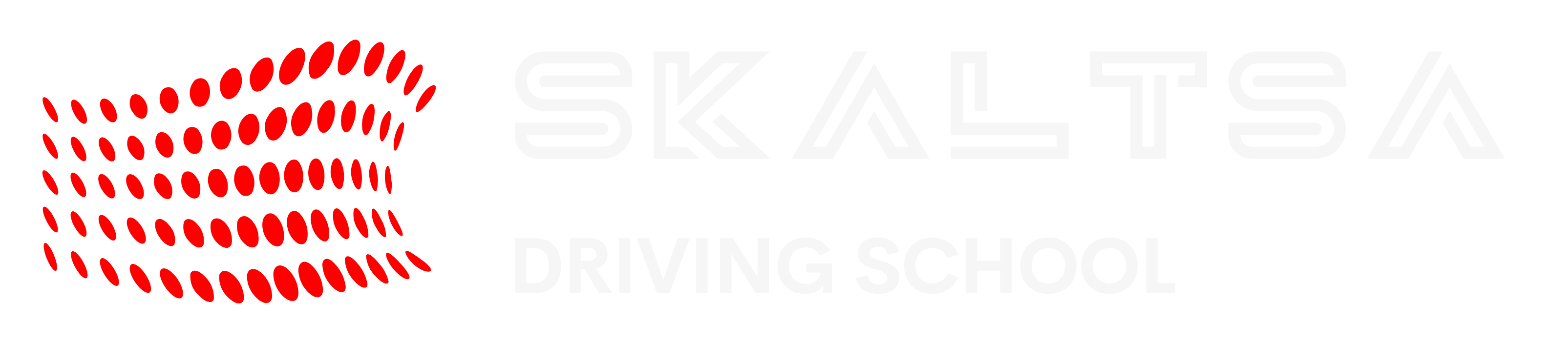 skaltsa logo